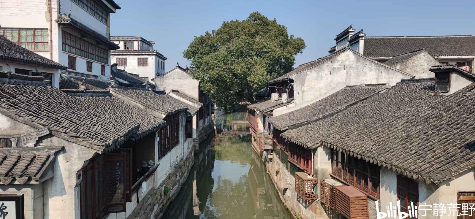 混乱特工